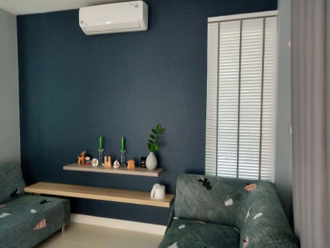 วอลล์เปเปอร์สีพื้น